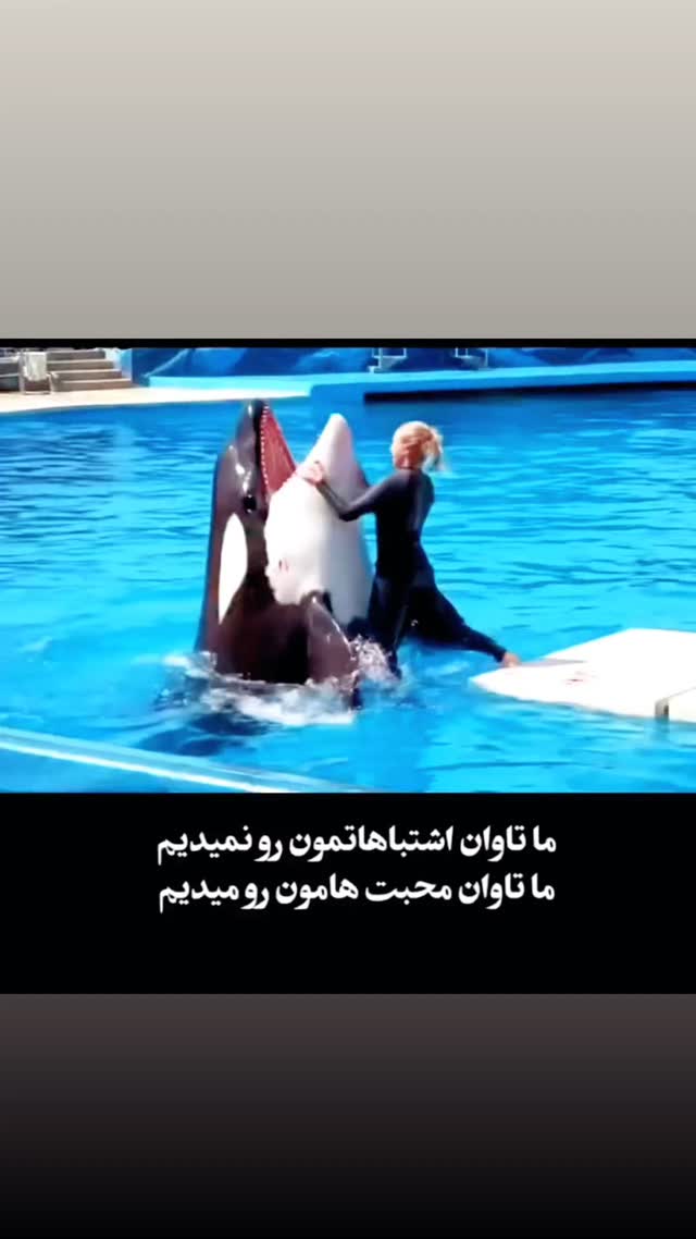  جدید ترین استوری اینستاگرام محمد جواد سیانکی