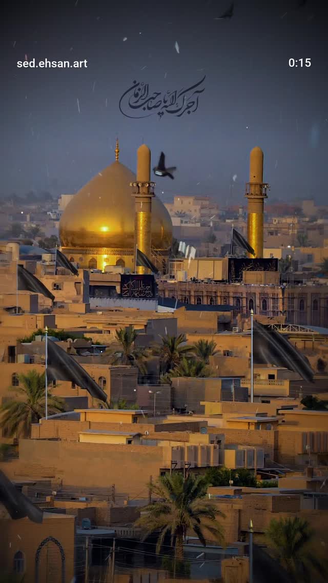  جدید ترین استوری اینستاگرام محمدامین توکلی زاده