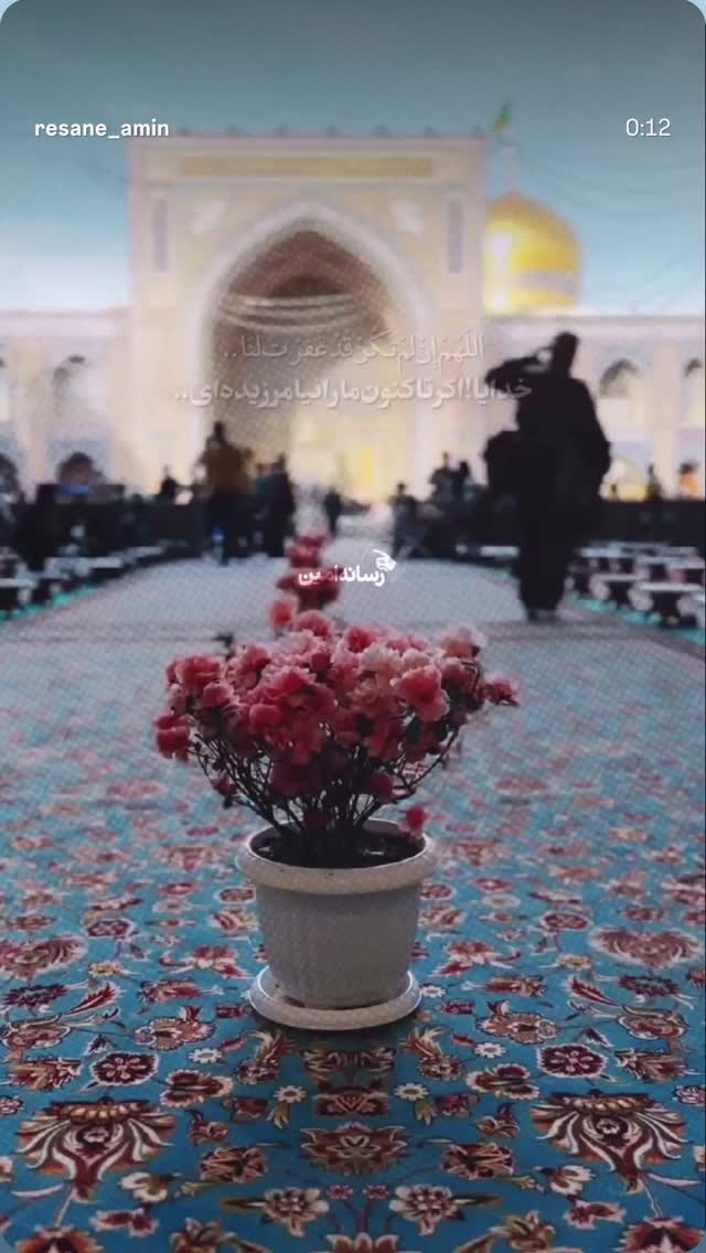 جدید ترین استوری اینستاگرام محمدامین توکلی زاده