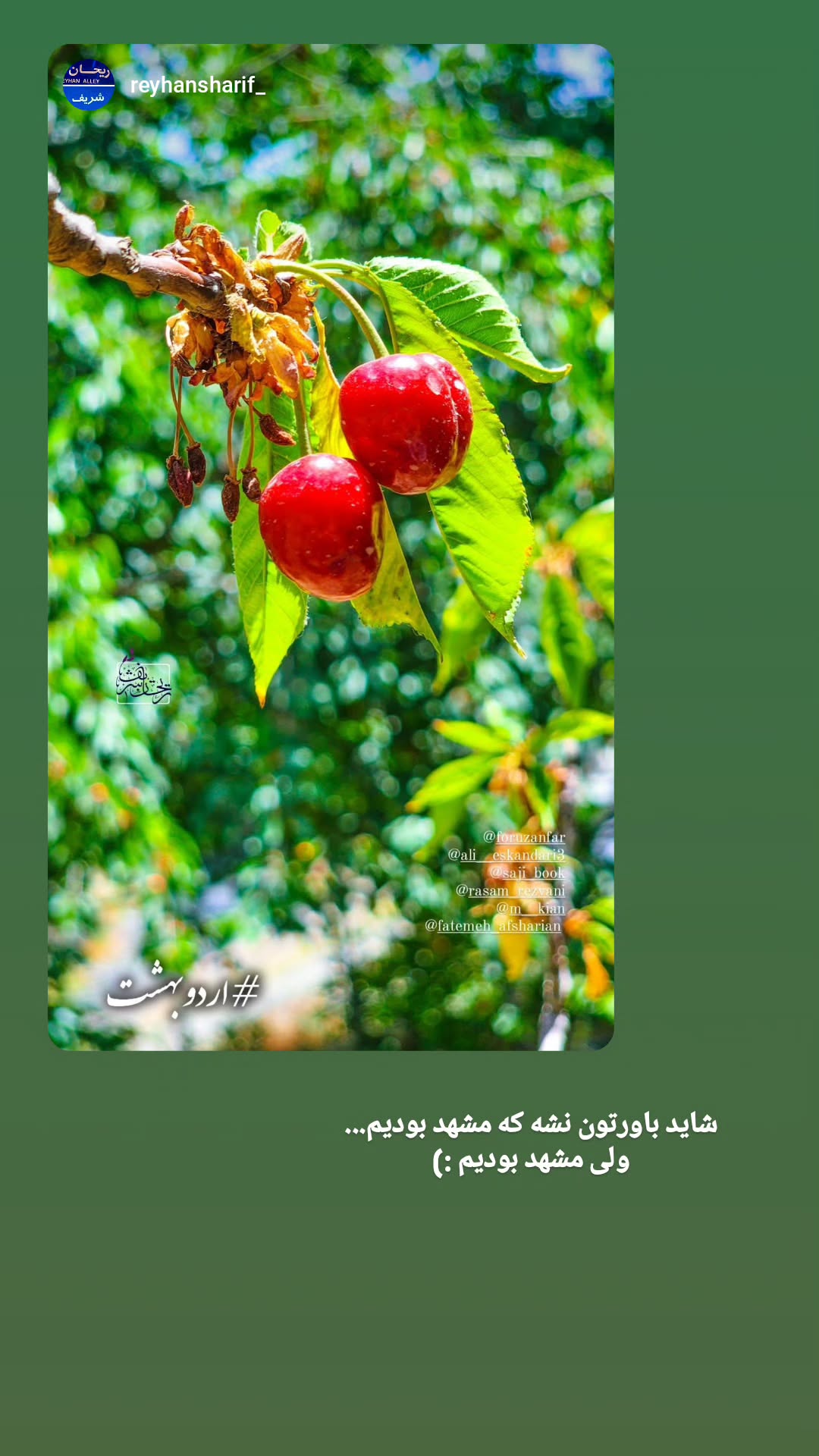  جدید ترین استوری اینستاگرام مرضیه کیان