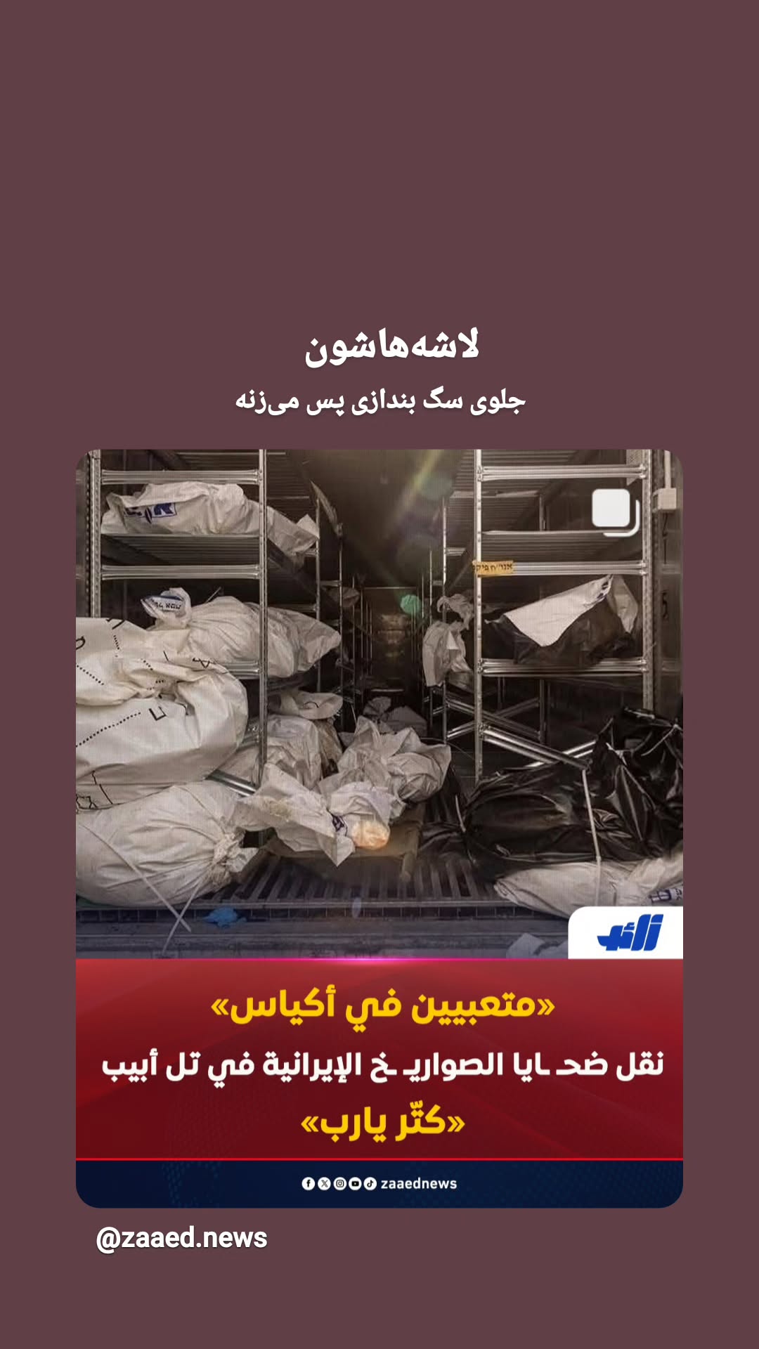  جدید ترین استوری اینستاگرام مرضیه کیان