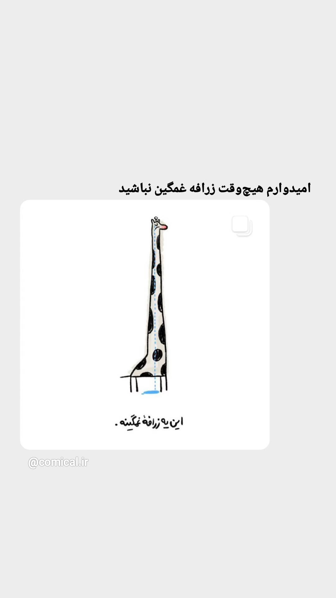  جدید ترین استوری اینستاگرام مرضیه کیان