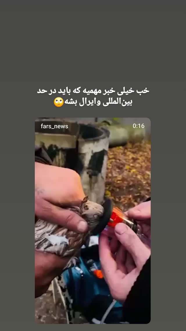  جدید ترین استوری اینستاگرام مرضیه کیان
