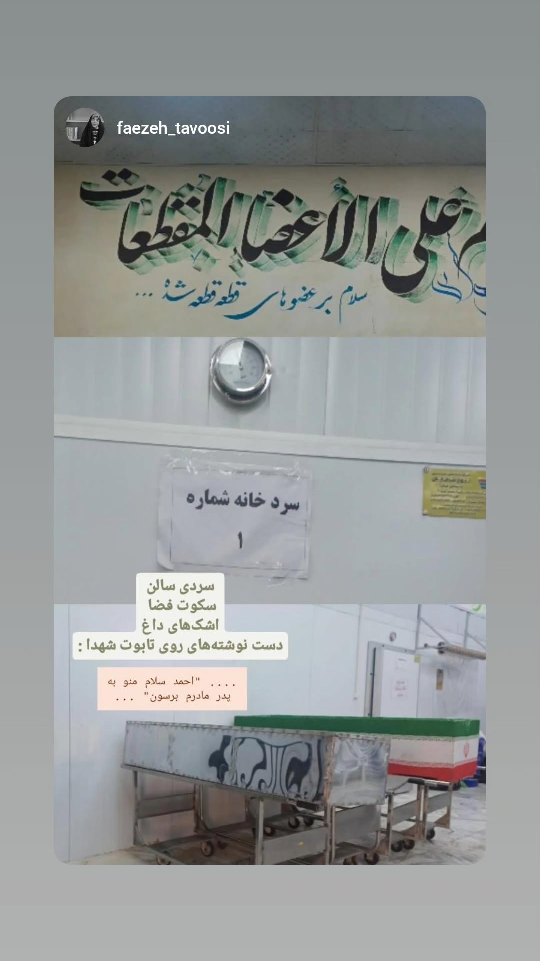  جدید ترین استوری اینستاگرام مرضیه کیان