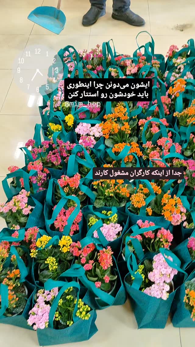  جدید ترین استوری اینستاگرام مرضیه کیان
