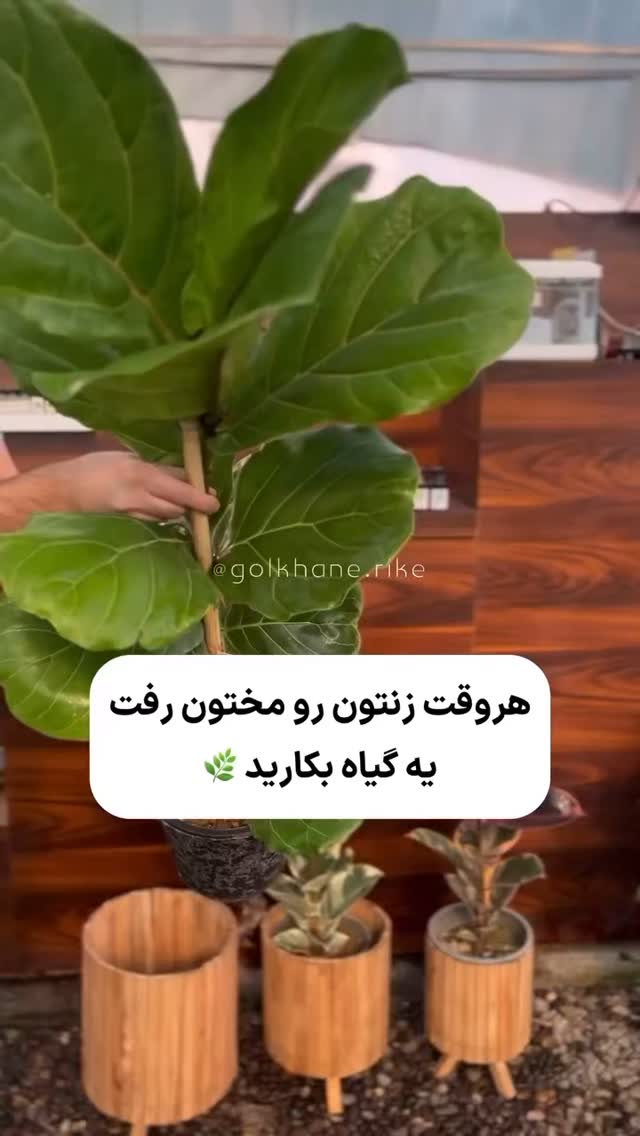  جدید ترین استوری اینستاگرام مسعود حسینی