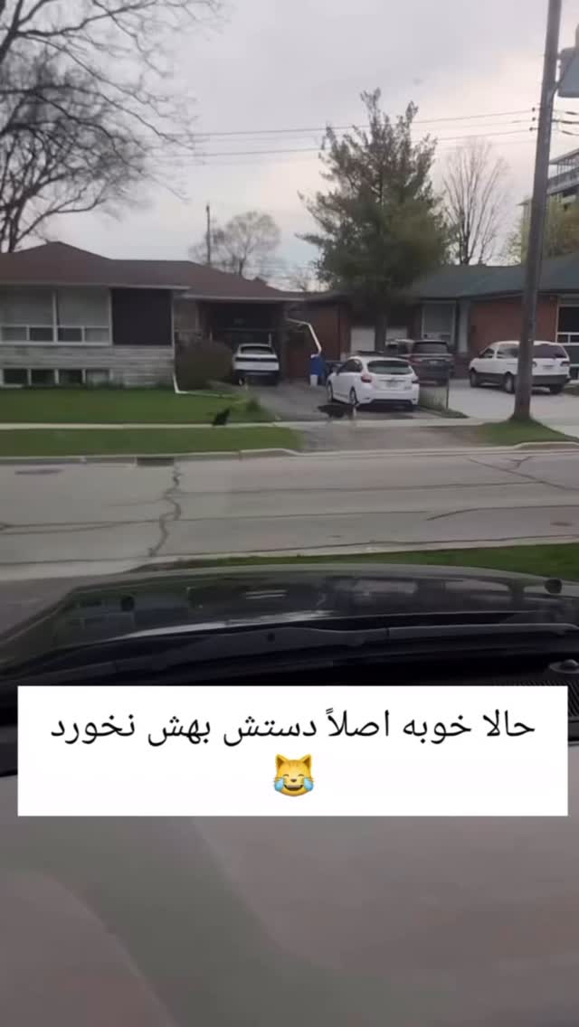  جدید ترین استوری اینستاگرام مسعود حسینی