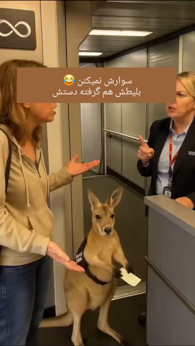  جدید ترین استوری اینستاگرام مسعود حسینی