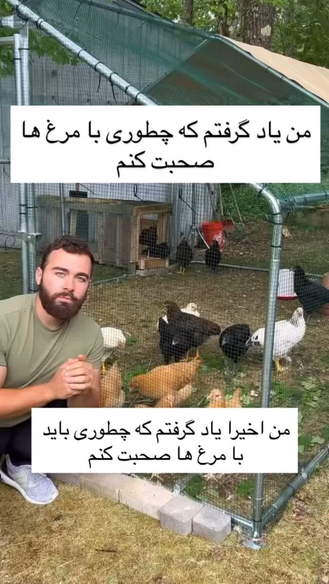  جدید ترین استوری اینستاگرام مسعود حسینی