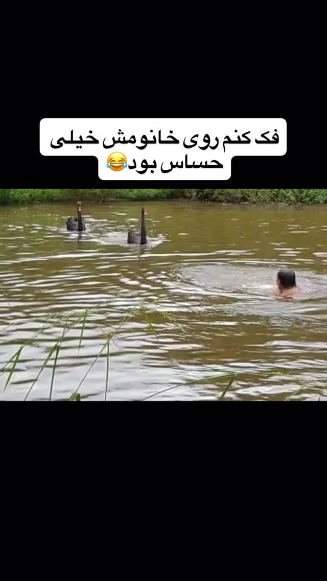  جدید ترین استوری اینستاگرام مسعود حسینی