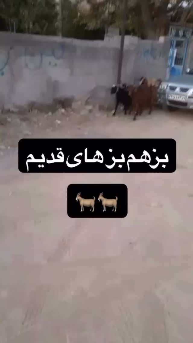  جدید ترین استوری اینستاگرام مسعود حسینی