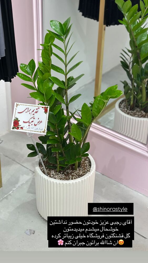  جدید ترین استوری اینستاگرام مائده عابدینی
