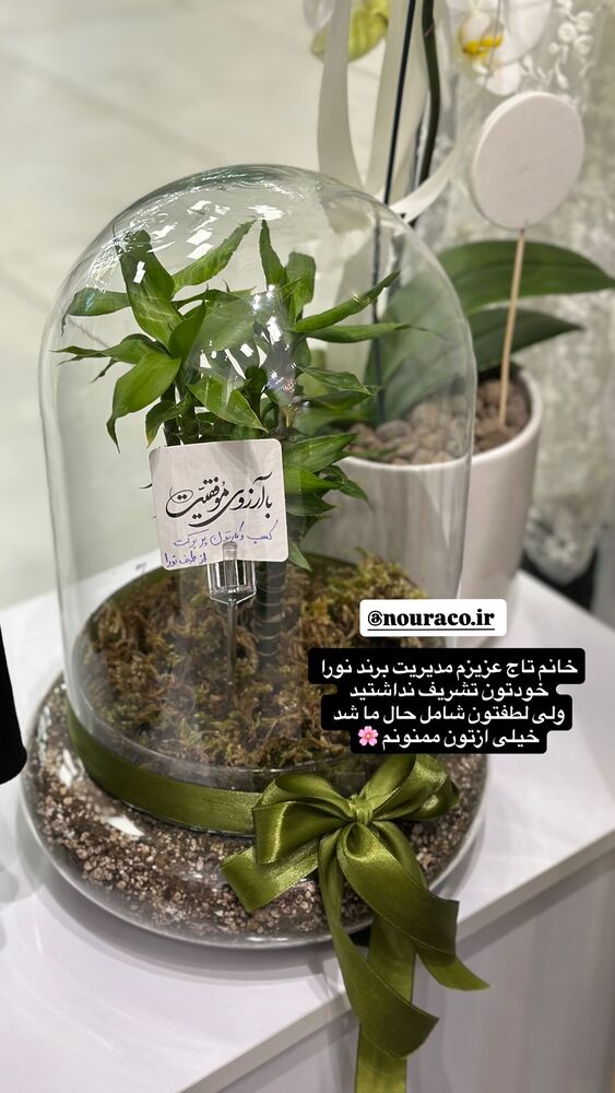  جدید ترین استوری اینستاگرام مائده عابدینی