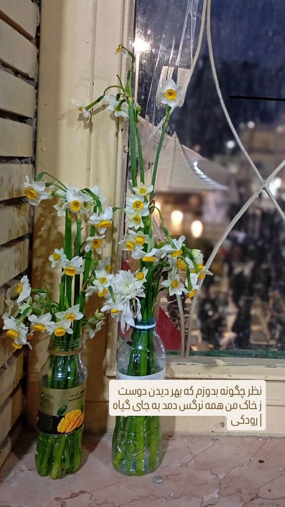  جدید ترین استوری اینستاگرام مائده هاشمی