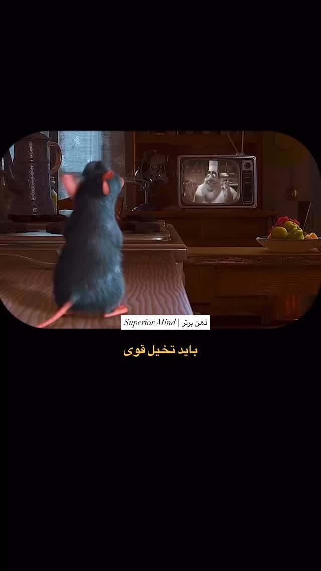  جدید ترین استوری اینستاگرام مائده حیدری