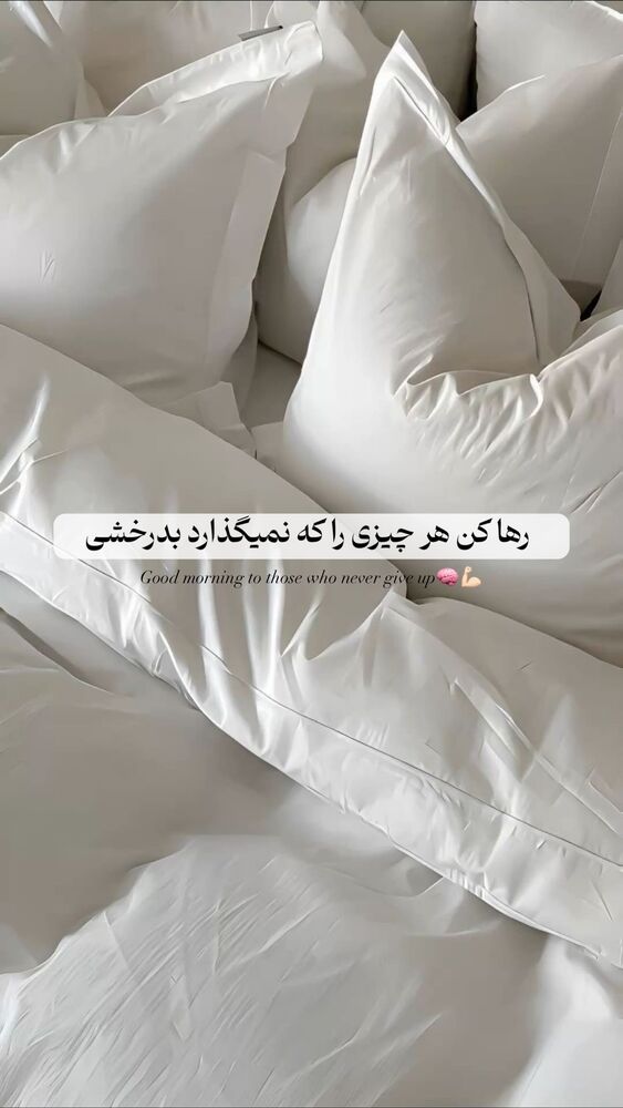  جدید ترین استوری اینستاگرام مائده حیدری
