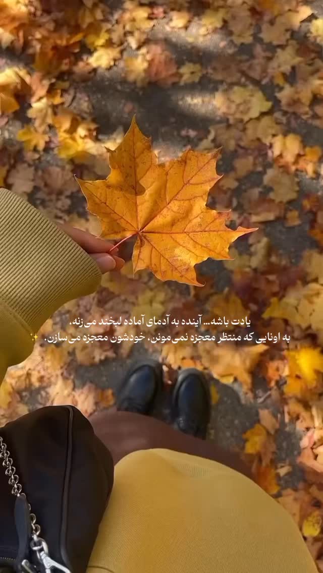 جدید ترین استوری اینستاگرام مائده حیدری