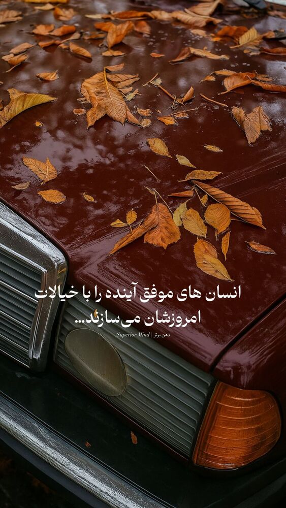  جدید ترین استوری اینستاگرام مائده حیدری