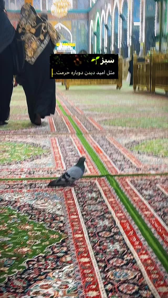  جدید ترین استوری اینستاگرام مائده کریمی