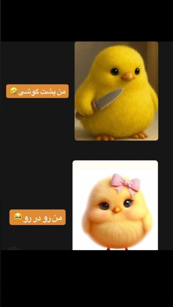  جدید ترین استوری اینستاگرام مائده کریمی