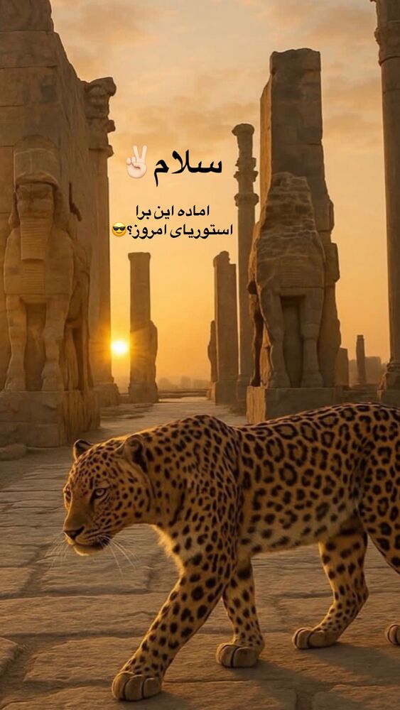  جدید ترین استوری اینستاگرام مائده مرادی