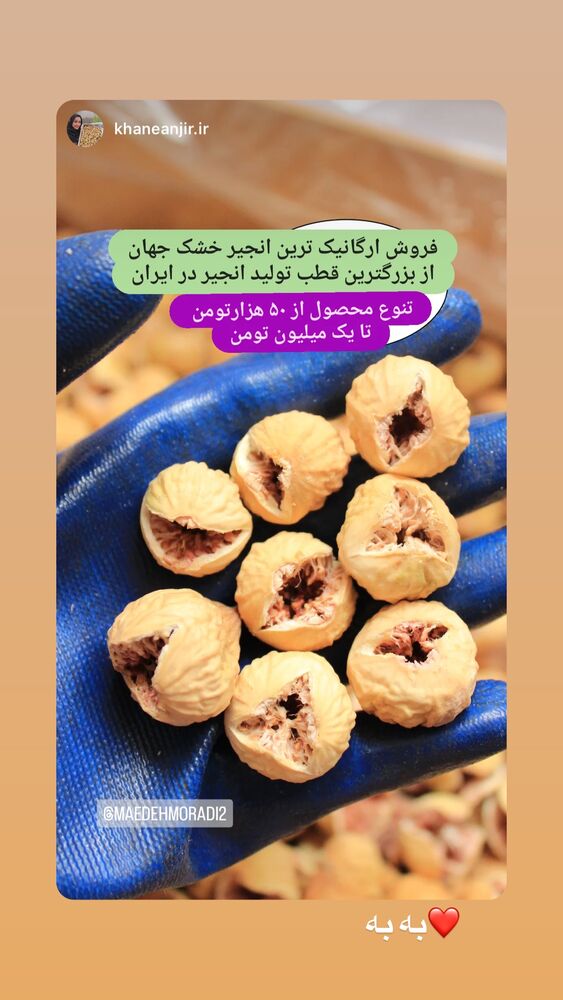  جدید ترین استوری اینستاگرام مائده مرادی