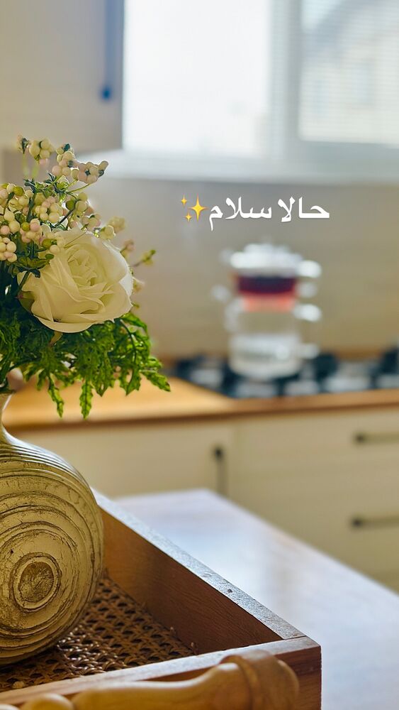  جدید ترین استوری اینستاگرام مائده مرادی