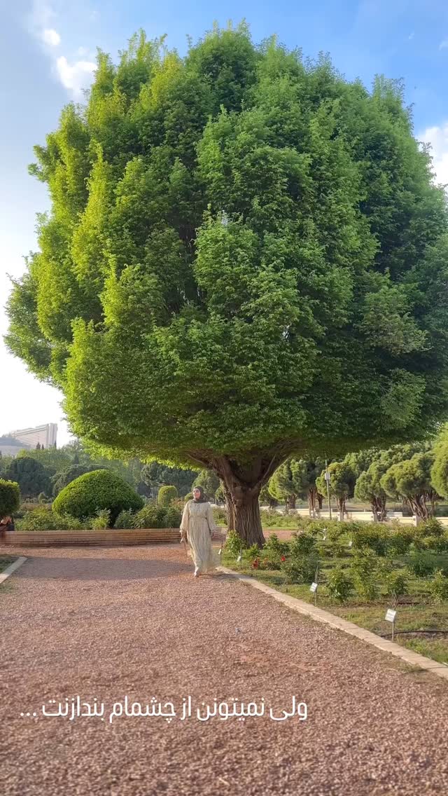  جدید ترین استوری اینستاگرام مائده مرادی