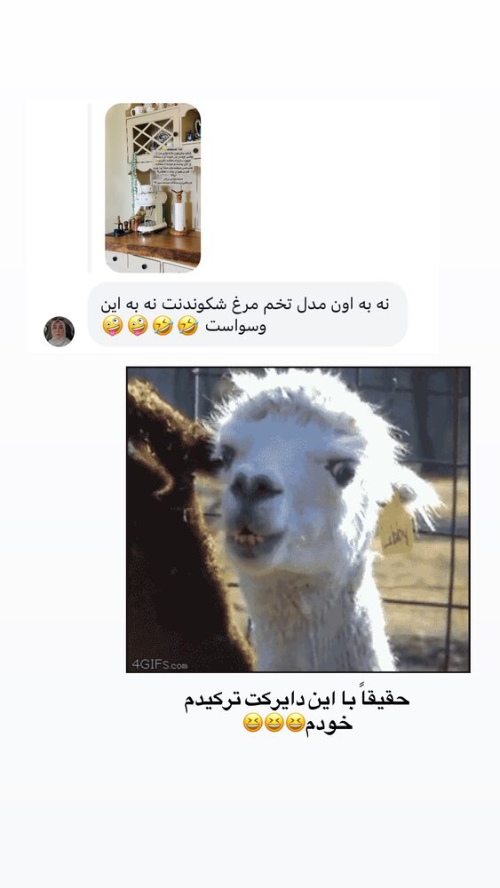  جدید ترین استوری اینستاگرام مائده مرادی