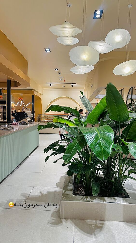  جدید ترین استوری اینستاگرام مائده مرادی
