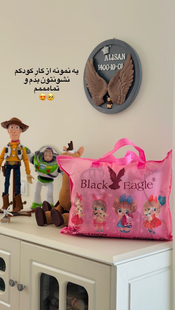  جدید ترین استوری اینستاگرام مائده مرادی