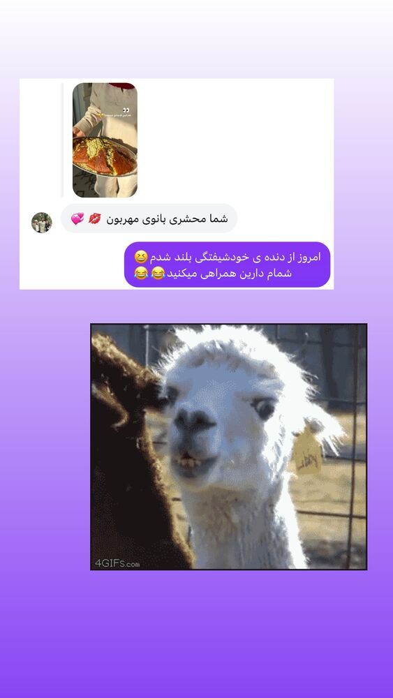  جدید ترین استوری اینستاگرام مائده مرادی