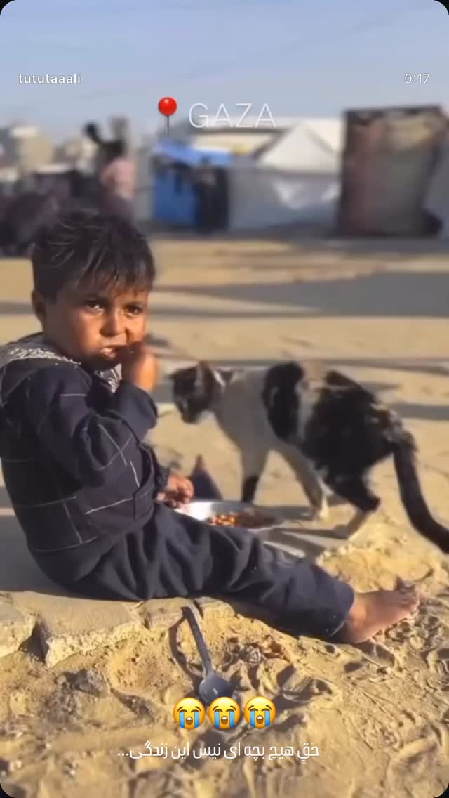  جدید ترین استوری اینستاگرام مائده مرادی