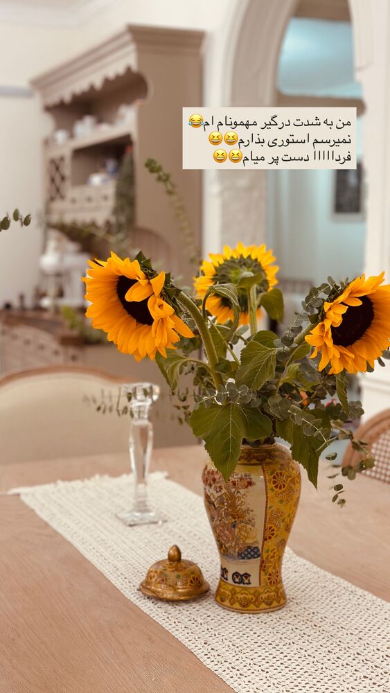  جدید ترین استوری اینستاگرام مائده مرادی