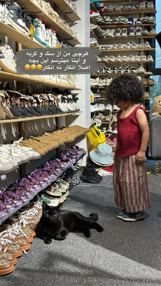  جدید ترین استوری اینستاگرام مائده مرادی