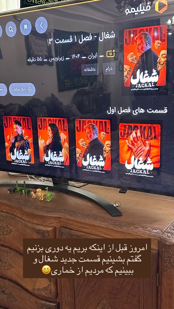  جدید ترین استوری اینستاگرام مائده مرادی