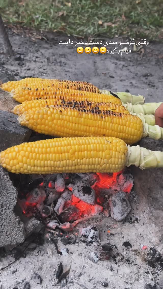  جدید ترین استوری اینستاگرام مائده مرادی