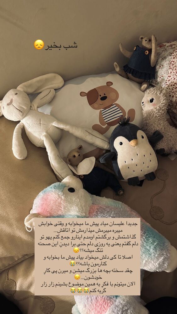  جدید ترین استوری اینستاگرام مائده مرادی