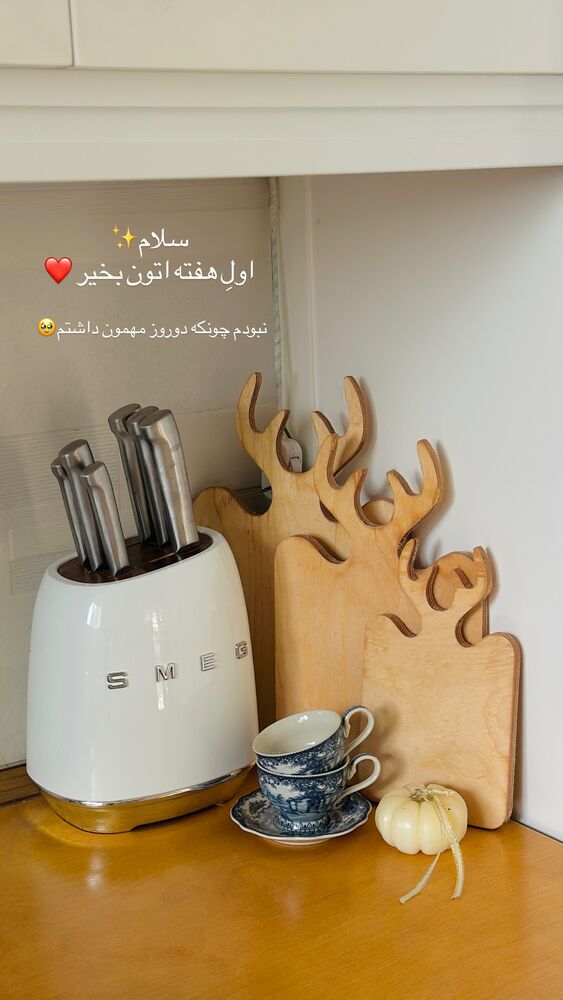  جدید ترین استوری اینستاگرام مائده مرادی