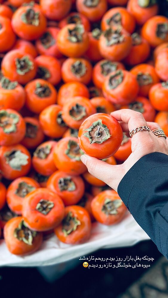  جدید ترین استوری اینستاگرام مائده مرادی