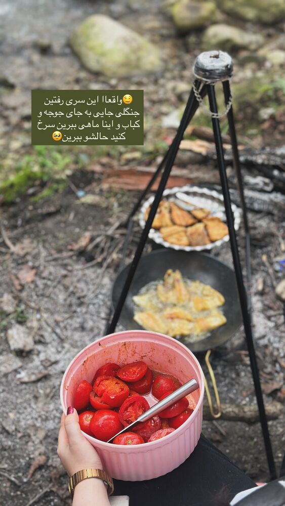  جدید ترین استوری اینستاگرام مائده مرادی