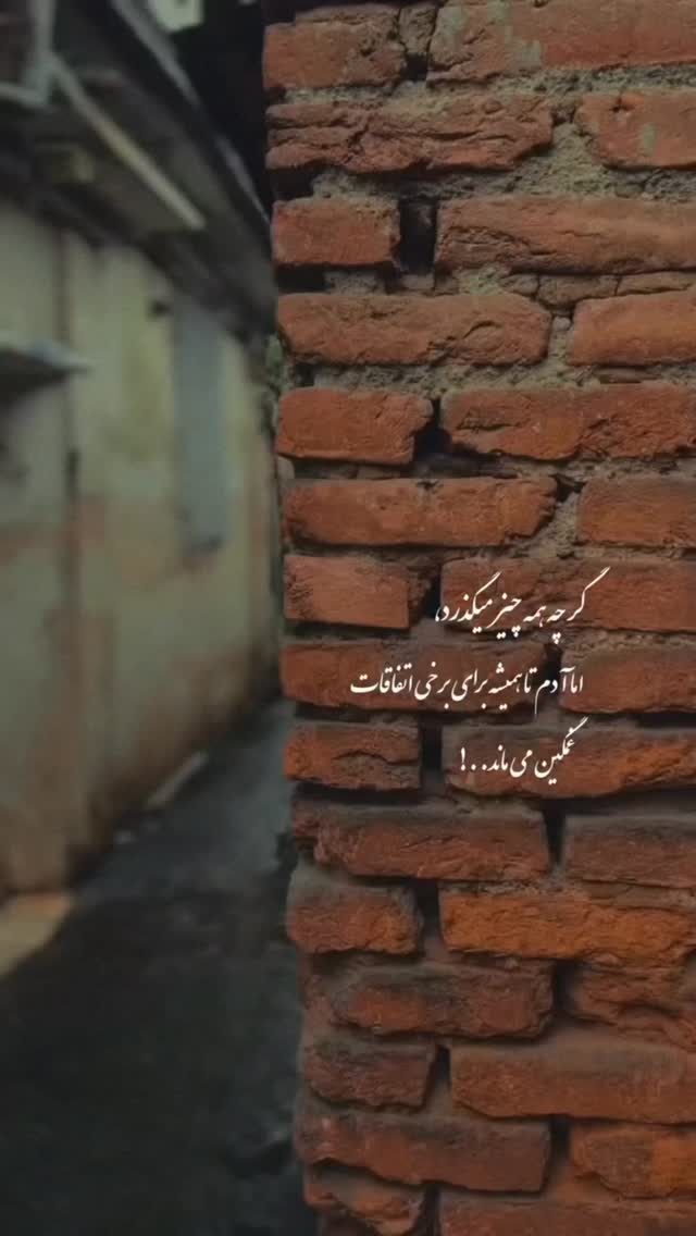  جدید ترین استوری اینستاگرام مائده مرادی