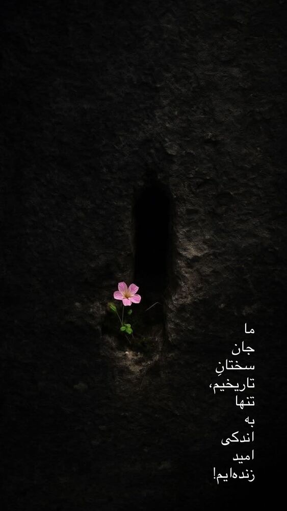  جدید ترین استوری اینستاگرام مائده مرادی