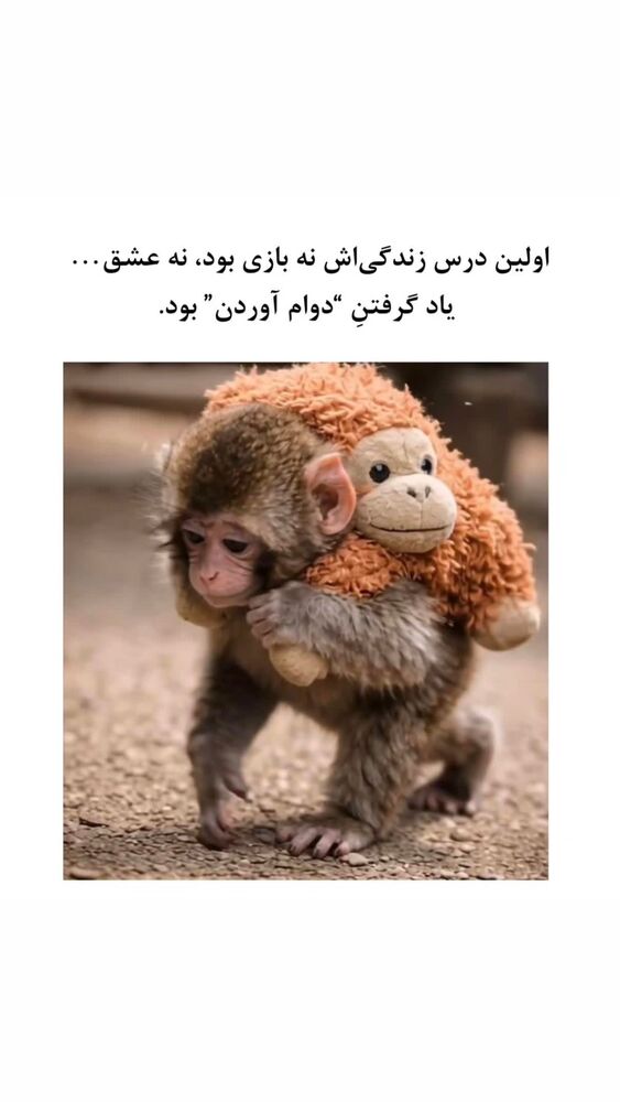  جدید ترین استوری اینستاگرام مائده مرادی