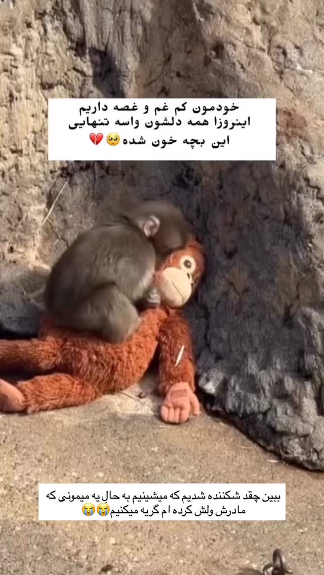  جدید ترین استوری اینستاگرام مائده مرادی