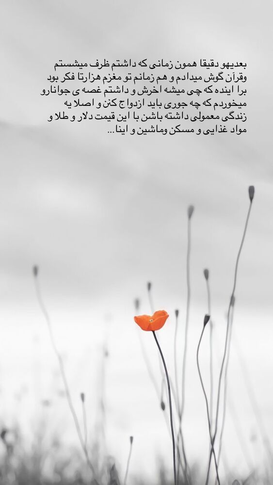  جدید ترین استوری اینستاگرام مائده مرادی