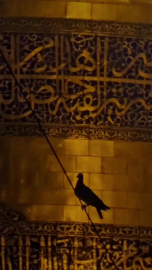  جدید ترین استوری اینستاگرام مهدی داوودی