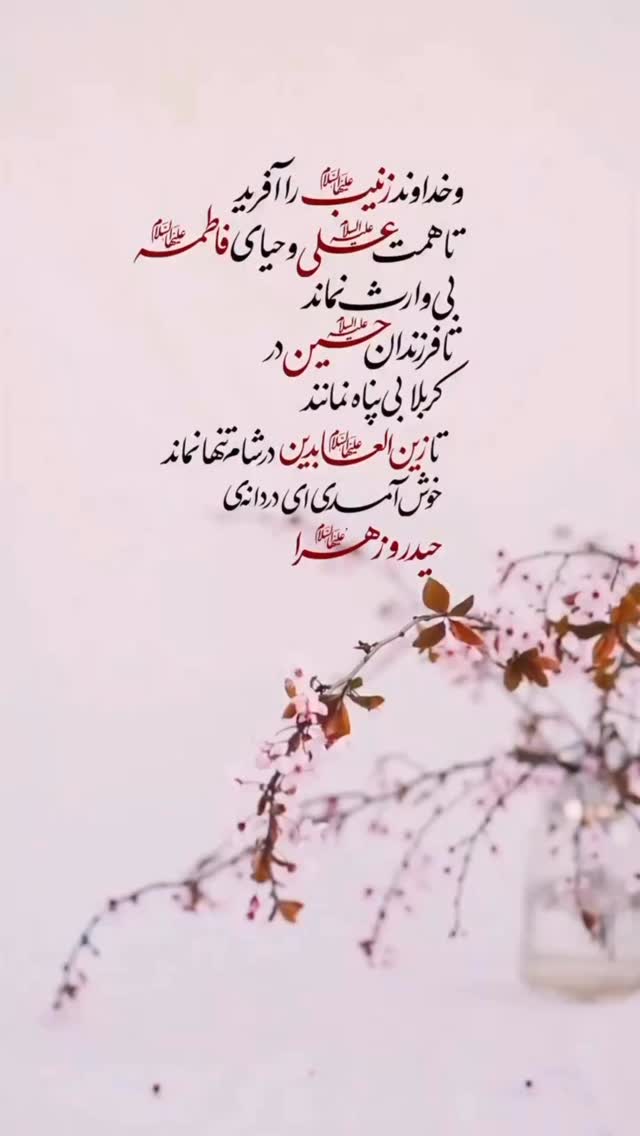  جدید ترین استوری اینستاگرام سيد مهدى مفيدى