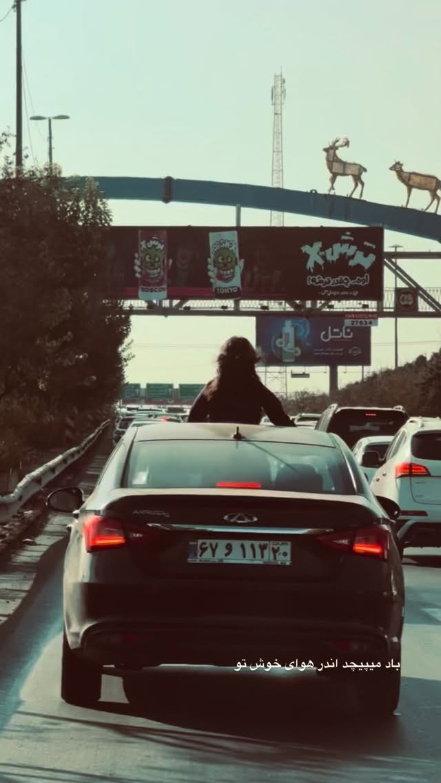  جدید ترین استوری اینستاگرام سيد مهدى مفيدى