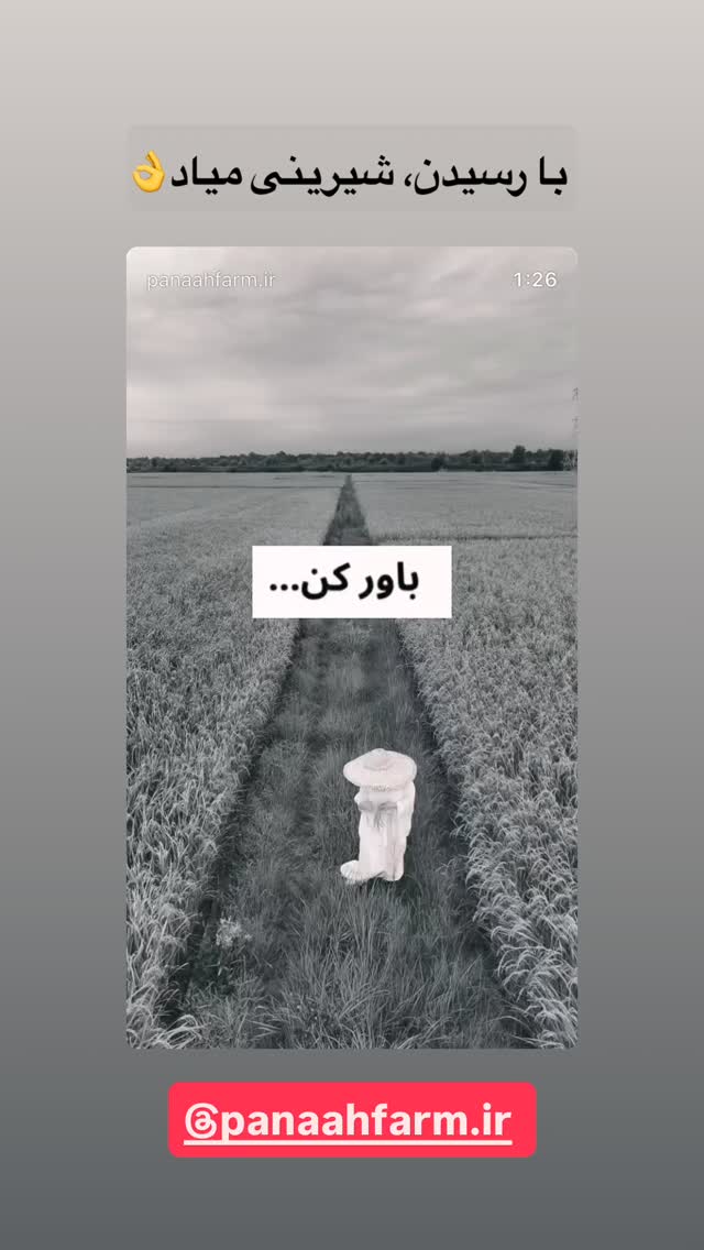  جدید ترین استوری اینستاگرام سید مهدی حسینیان